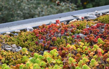 the cost of Ardnadam green roof installation
