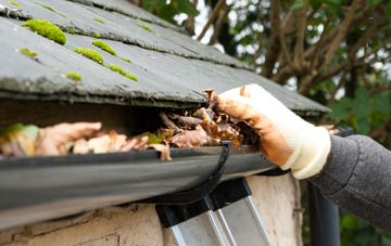 gutter cleaning Ardnadam, Argyll And Bute